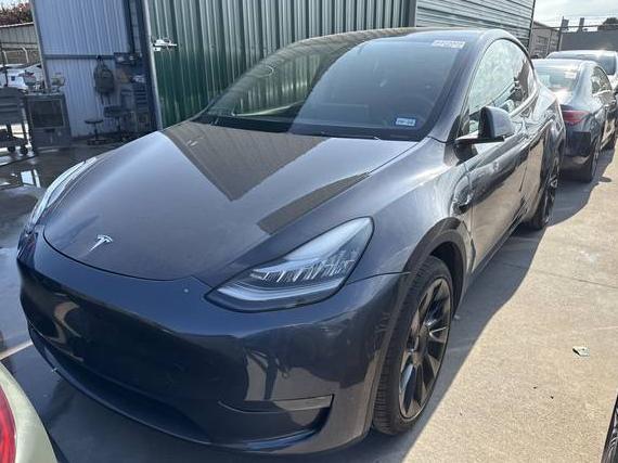TESLA MODEL Y 2021 5YJYGDEE1MF194300 image